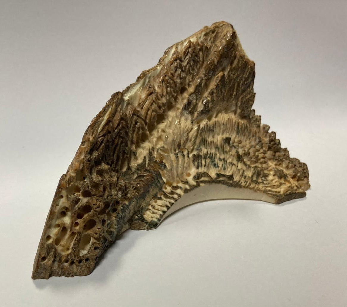 Carved decorative piece