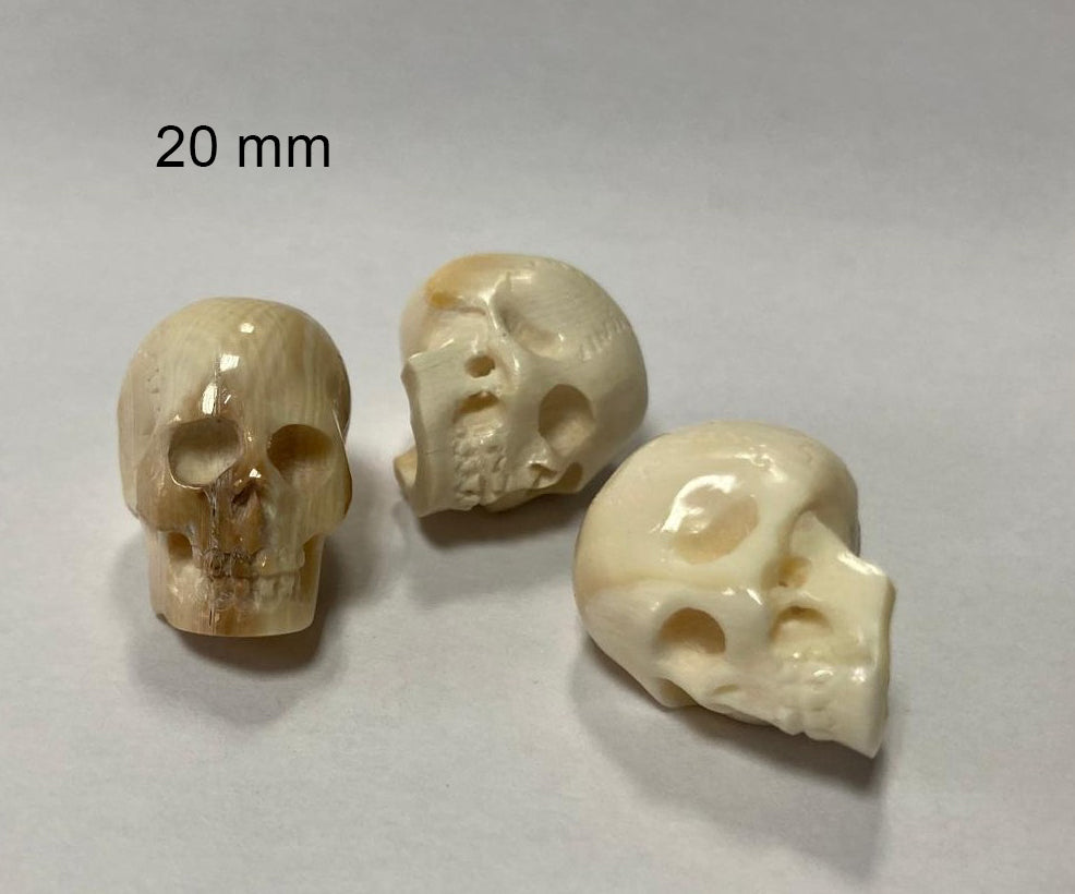 Teschio intagliato in mammut