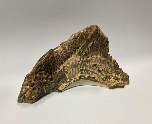 Pezzo decorativo intagliato