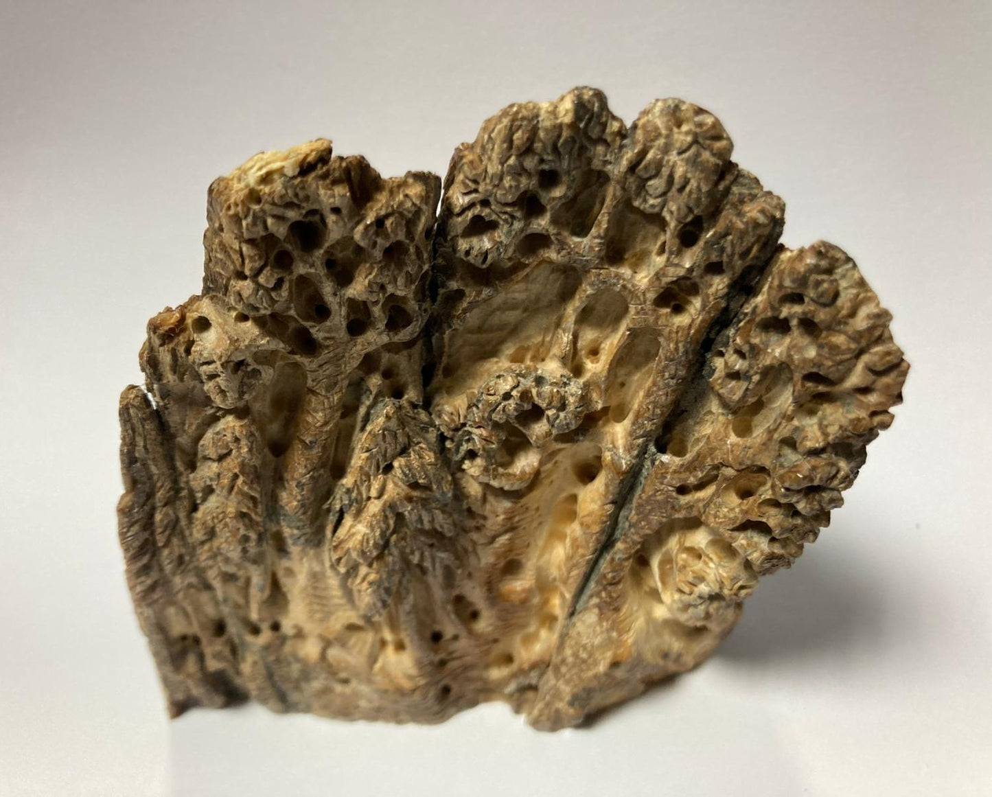 Carved decorative piece