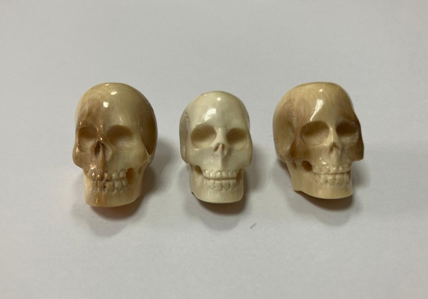 Mammut intagliato, teschi 20mm