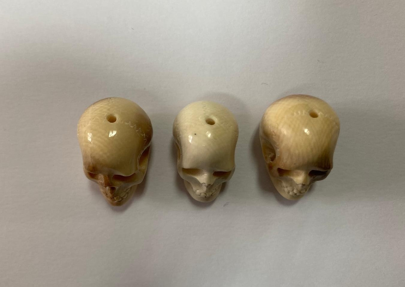 Mammut intagliato, teschi 20mm