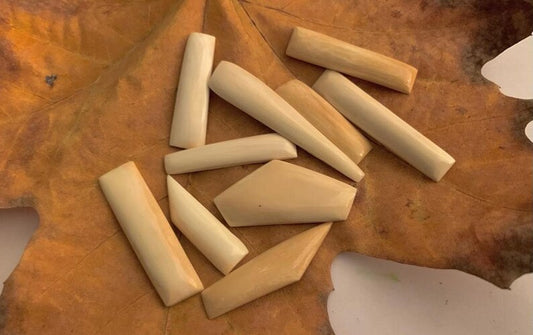 Lotto cabochon in mammut