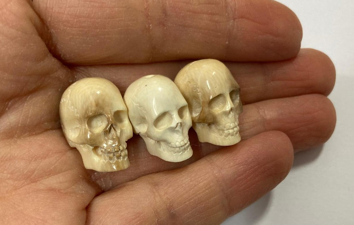 Mammut intagliato, teschi 20mm