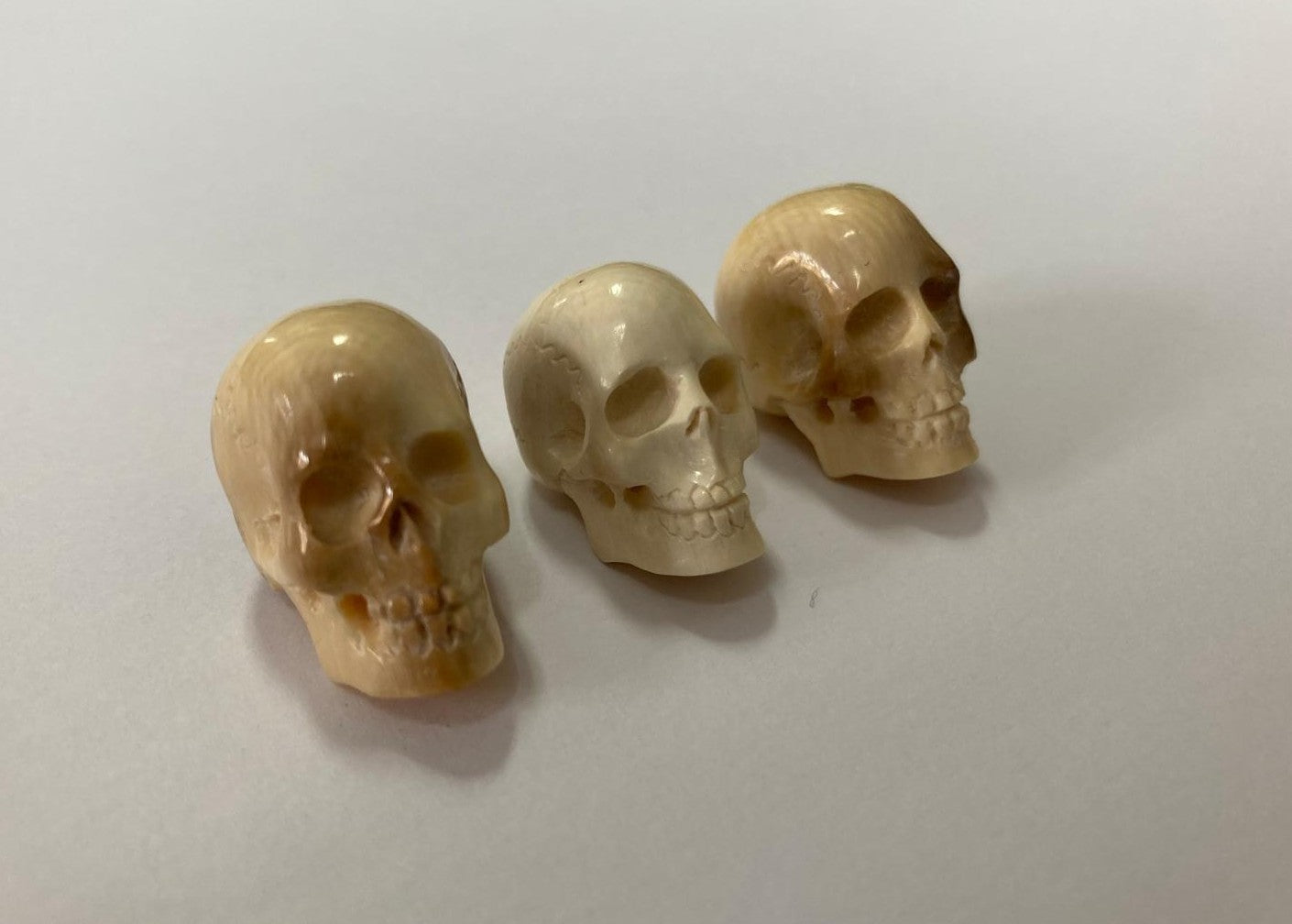 Mammut intagliato, teschi 20mm