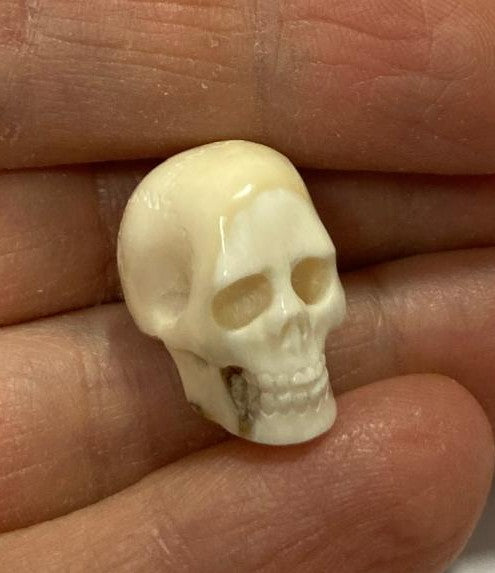 Teschio intagliato in mammut