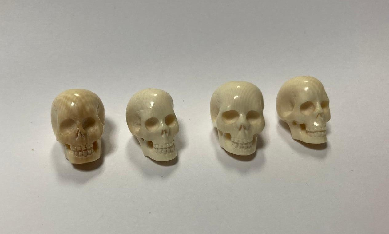 Mammut intagliato, teschi 15mm